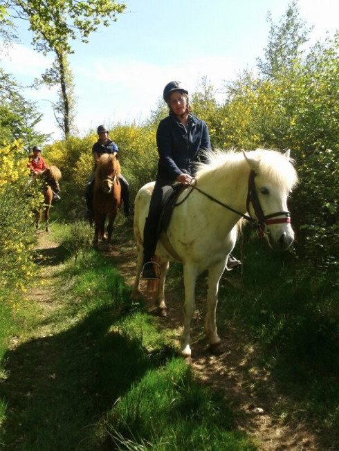 Reiterinnen mit Islandpferden auf einem Waldweg im Gelände am Gestüt Nahetal