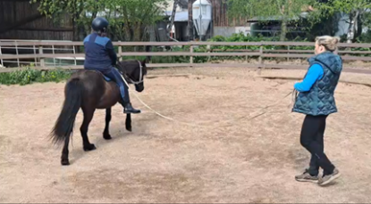 Franzi erteilt Reitunterricht auf dem Gestüt Nahetal, Einzel- und Gruppenstunden auf Nahetalpferden