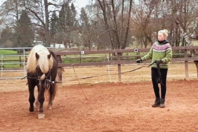 Die Lehrgangsleiterin zeigt präzise Longenarbeit mit einem Islandpferd während des Lehrgangs zu den IPZV-Longierabzeichen 1 und 2 auf dem Gestüt Nahetal.