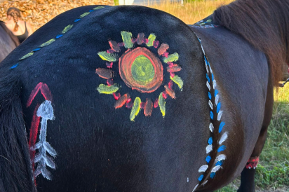 Kinderreiten im Nahetal: Pony von hinten bemalt mit Sonne, Federn und Pfeilen beim kreativen Reitangebot für Kinder ab 6 Jahren auf dem Gestüt Nahetal.