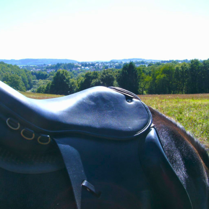 Islandpferd im Sommer auf dem Gestüt Nahetal, nördliches Saarland – Natur, Ruhe und Landschaft genießen