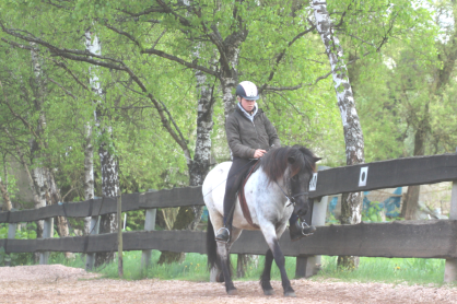 Reiterin auf Islandpferd in der Reitbahn unter Birken am Gestüt Nahetal im nördlichen Saarland
