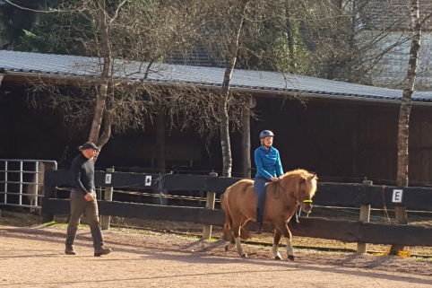 Reitlehrer mit erwachsener Reitschülerin beim Reitunterricht auf Islandpferd im Gestüt Nahetal