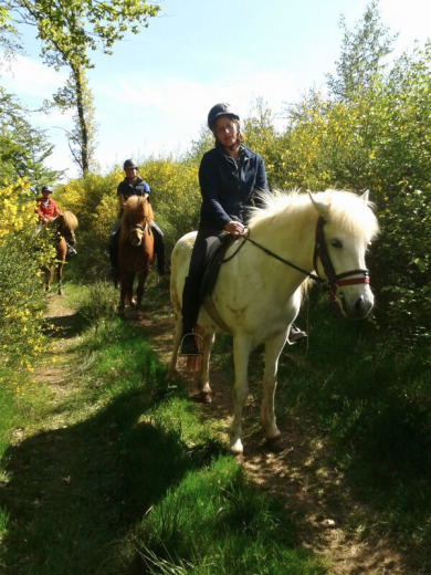 Reiterinnen mit Islandpferden auf einem Waldweg im Gelände am Gestüt Nahetal